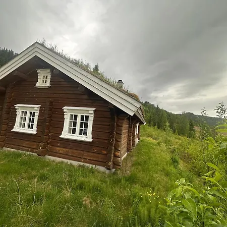 Modern Log Cabin In Peaceful Surroundings Vakantiehuis Ål